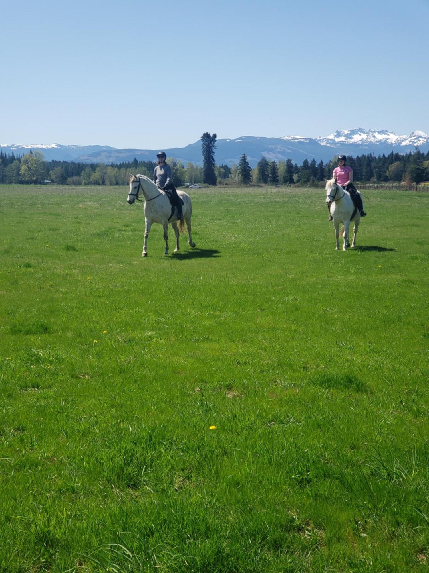 Paradise Acres Ranch Nanoose Bay Exteriér fotografie