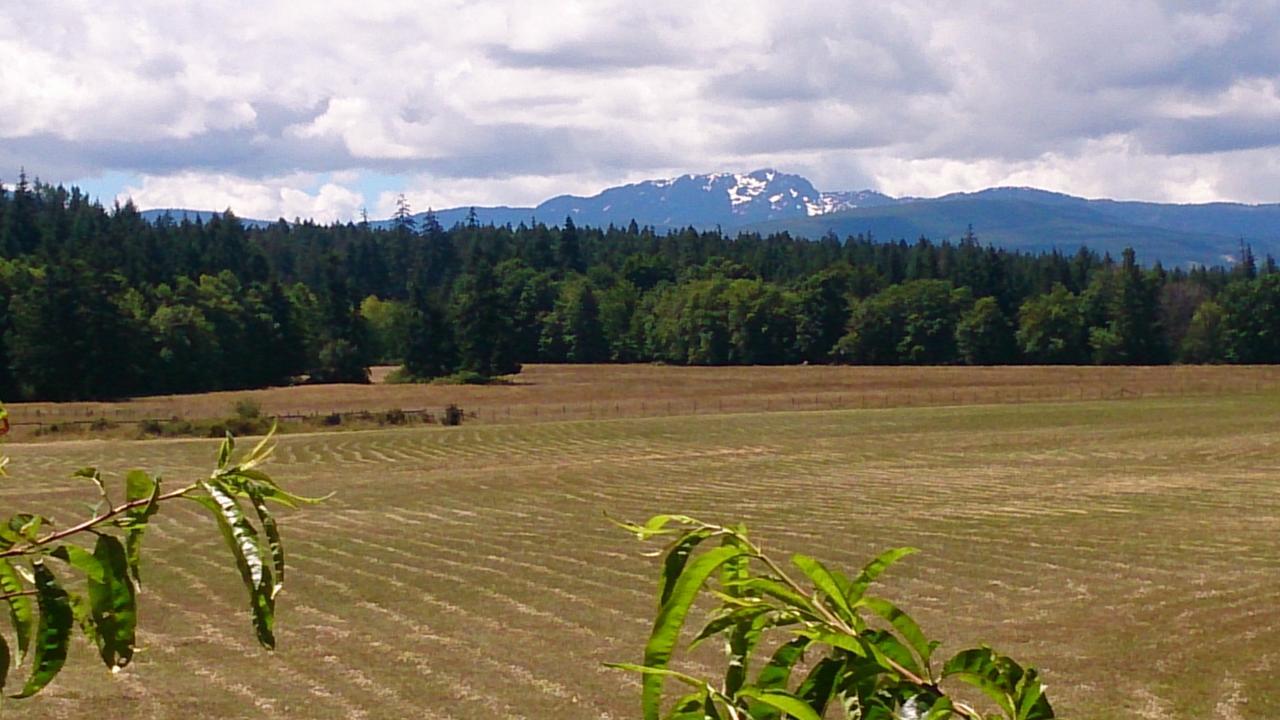Paradise Acres Ranch Nanoose Bay Exteriér fotografie