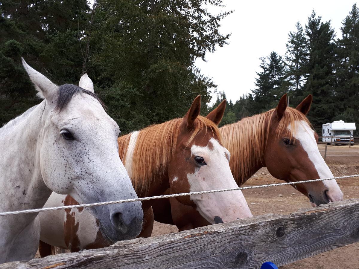Paradise Acres Ranch Nanoose Bay Exteriér fotografie