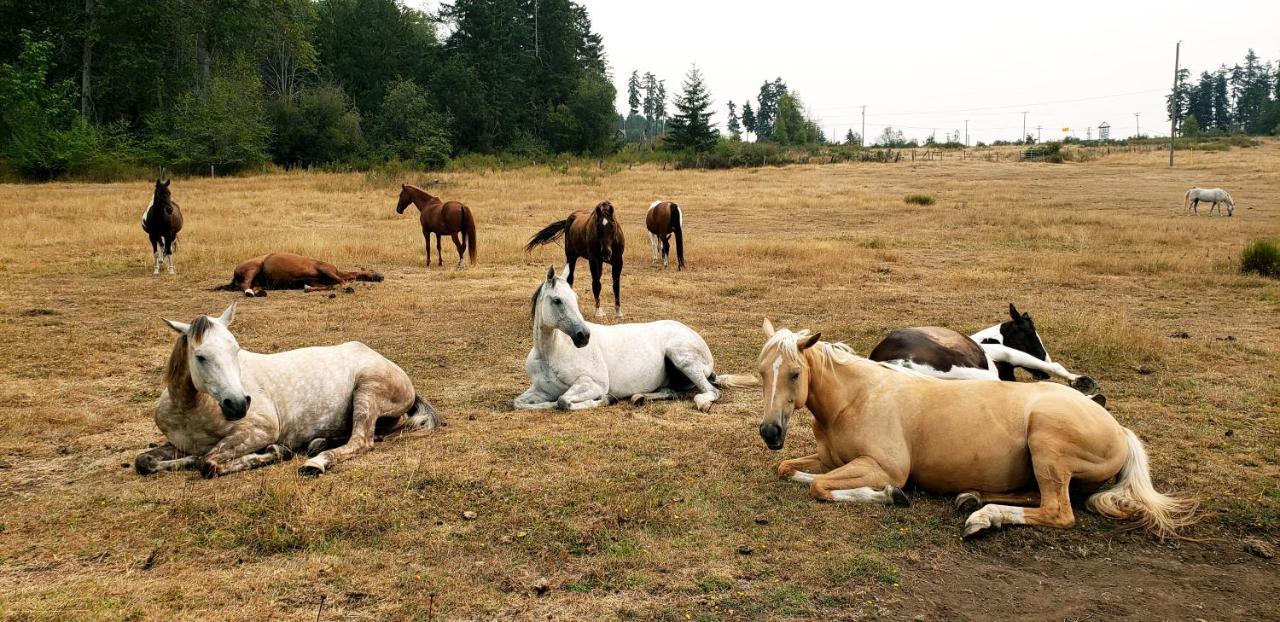 Paradise Acres Ranch Nanoose Bay Exteriér fotografie