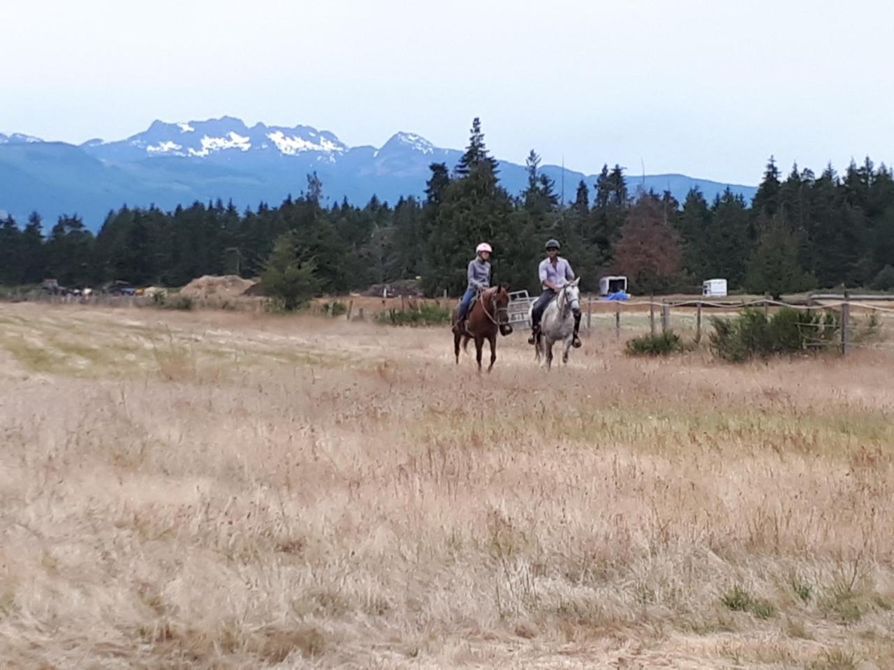 Paradise Acres Ranch Nanoose Bay Exteriér fotografie