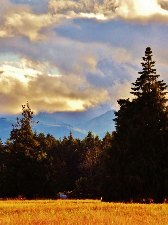 Paradise Acres Ranch Nanoose Bay Exteriér fotografie