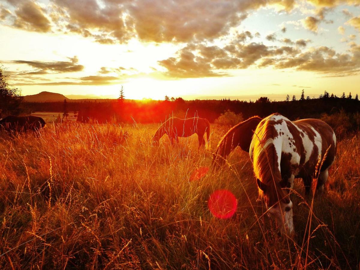 Paradise Acres Ranch Nanoose Bay Exteriér fotografie